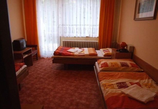 Hotel Petr Bezruc Frýdlant nad Ostravicí Habitación foto